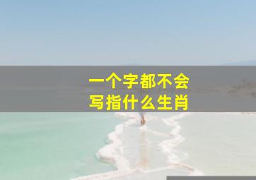 一个字都不会写指什么生肖