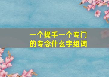 一个提手一个专门的专念什么字组词