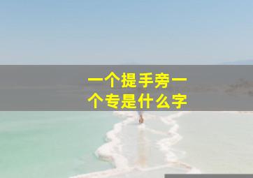 一个提手旁一个专是什么字