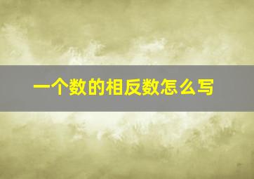 一个数的相反数怎么写