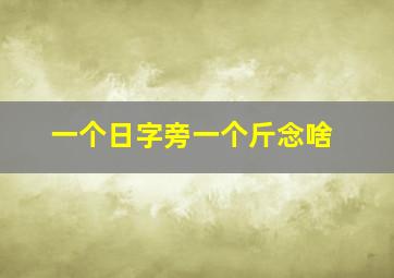 一个日字旁一个斤念啥