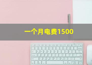 一个月电费1500