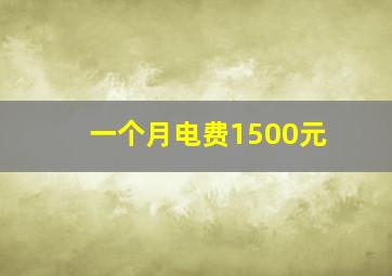 一个月电费1500元