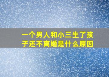 一个男人和小三生了孩子还不离婚是什么原因