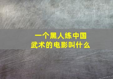 一个黑人练中国武术的电影叫什么