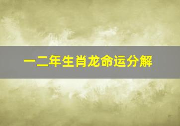 一二年生肖龙命运分解