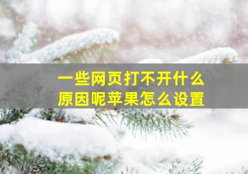 一些网页打不开什么原因呢苹果怎么设置