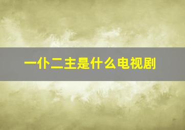 一仆二主是什么电视剧