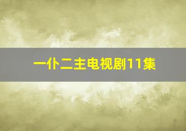 一仆二主电视剧11集