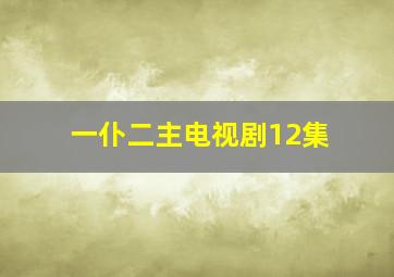 一仆二主电视剧12集