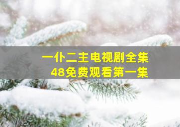 一仆二主电视剧全集48免费观看第一集