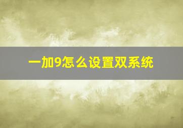 一加9怎么设置双系统