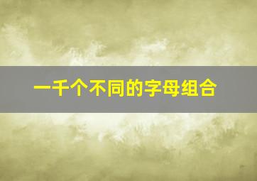 一千个不同的字母组合