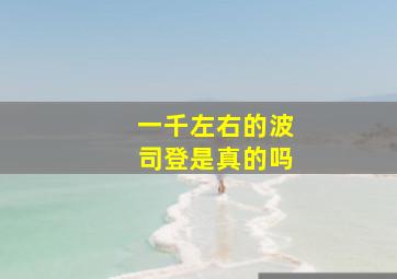 一千左右的波司登是真的吗