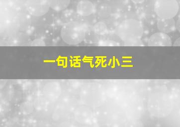 一句话气死小三