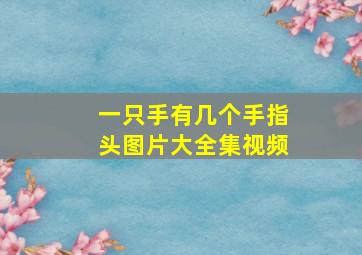 一只手有几个手指头图片大全集视频