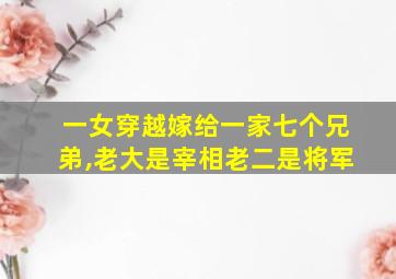 一女穿越嫁给一家七个兄弟,老大是宰相老二是将军