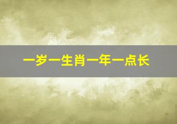 一岁一生肖一年一点长