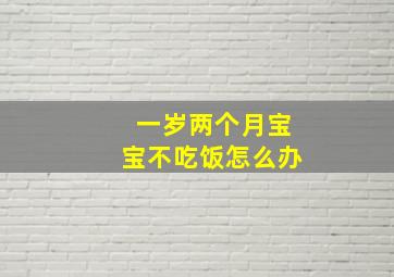 一岁两个月宝宝不吃饭怎么办