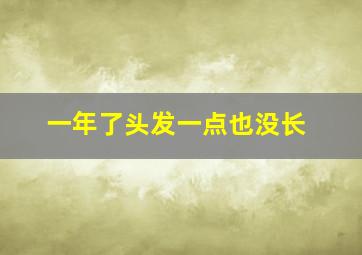 一年了头发一点也没长