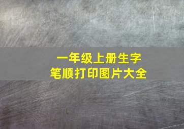 一年级上册生字笔顺打印图片大全