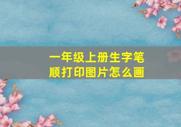 一年级上册生字笔顺打印图片怎么画