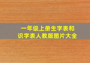 一年级上册生字表和识字表人教版图片大全