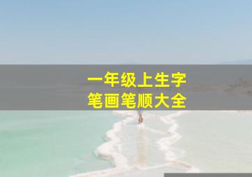 一年级上生字笔画笔顺大全