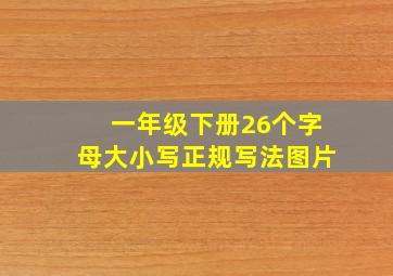 一年级下册26个字母大小写正规写法图片