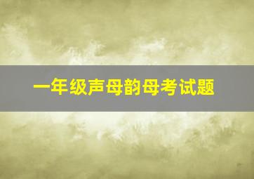 一年级声母韵母考试题