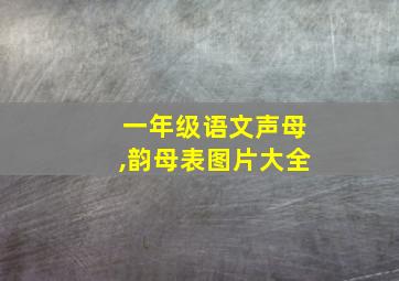 一年级语文声母,韵母表图片大全