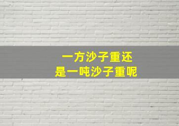 一方沙子重还是一吨沙子重呢