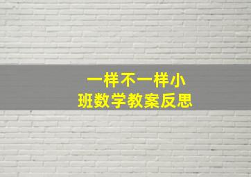 一样不一样小班数学教案反思