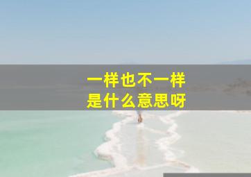 一样也不一样是什么意思呀