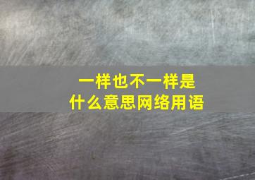 一样也不一样是什么意思网络用语