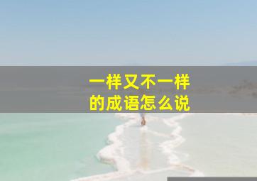 一样又不一样的成语怎么说