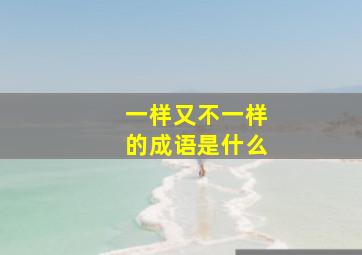 一样又不一样的成语是什么