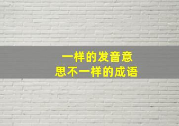 一样的发音意思不一样的成语