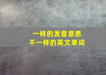 一样的发音意思不一样的英文单词