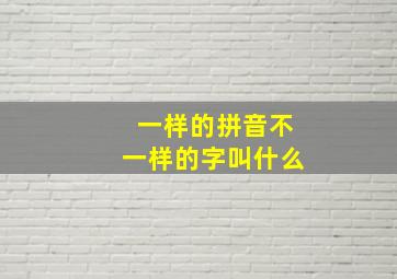 一样的拼音不一样的字叫什么