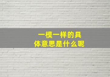 一模一样的具体意思是什么呢