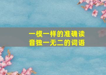 一模一样的准确读音独一无二的词语