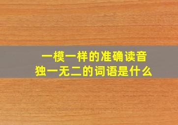 一模一样的准确读音独一无二的词语是什么