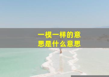 一模一样的意思是什么意思