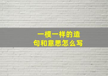 一模一样的造句和意思怎么写