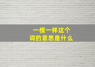 一模一样这个词的意思是什么