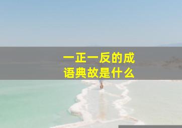 一正一反的成语典故是什么