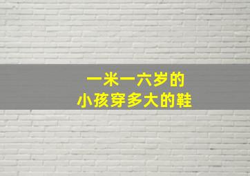 一米一六岁的小孩穿多大的鞋