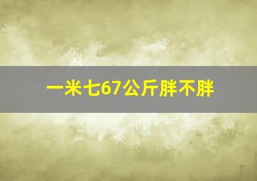 一米七67公斤胖不胖