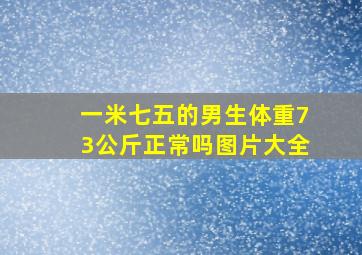 一米七五的男生体重73公斤正常吗图片大全